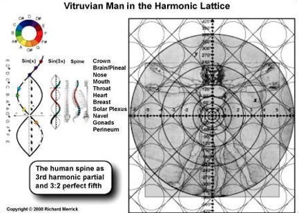 harmonic lattice