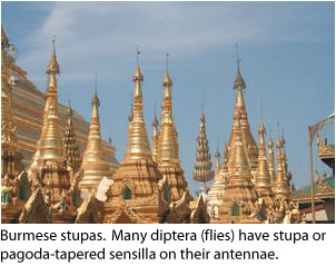 burmese stupas