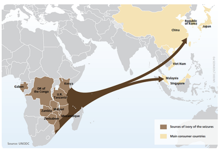 Export of Rhino Horn ivory